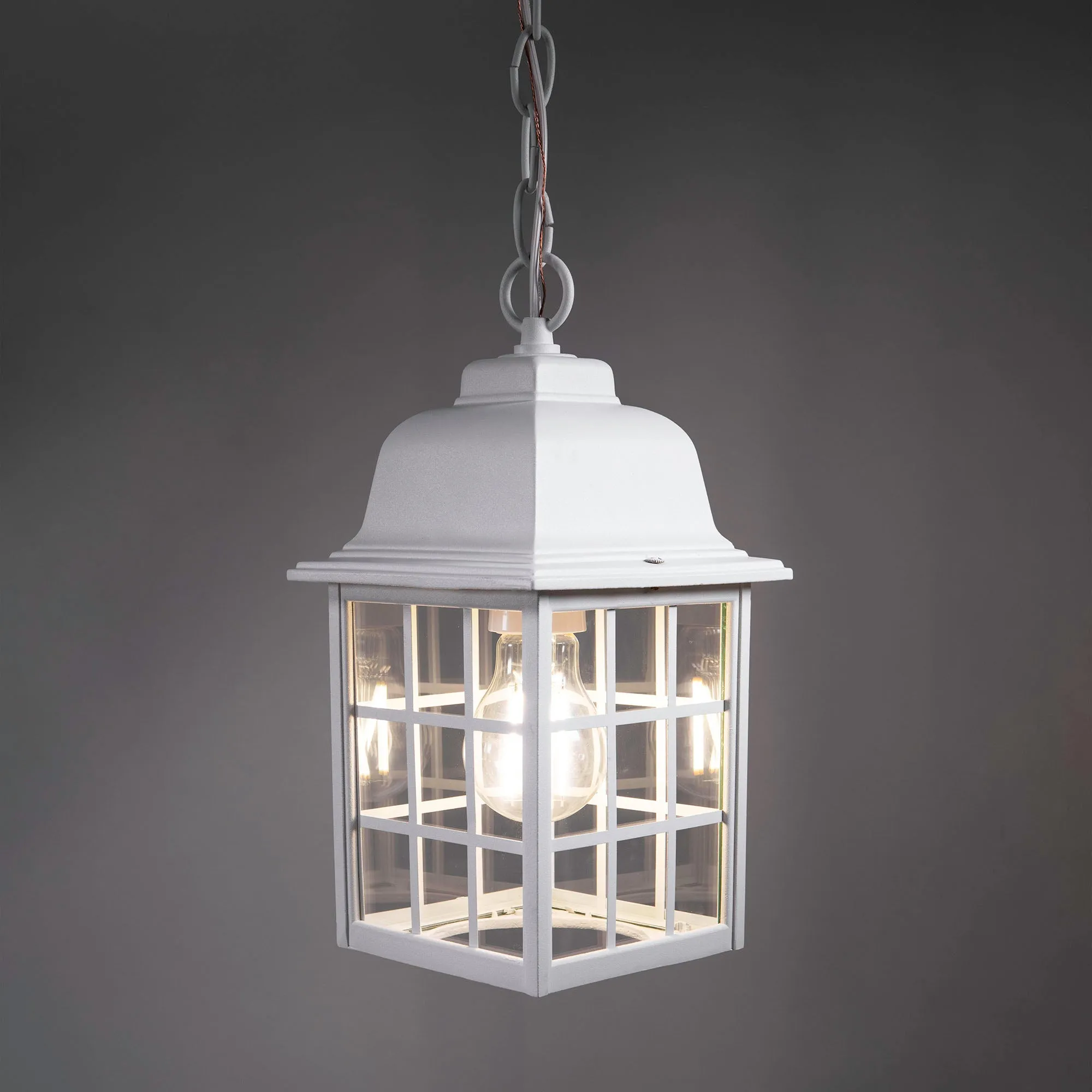 French Pane Outdoor Pendant Light, E26 Standard Socket, Damp Location, Seedy Glass, Black, Smoked Steel or White Finish